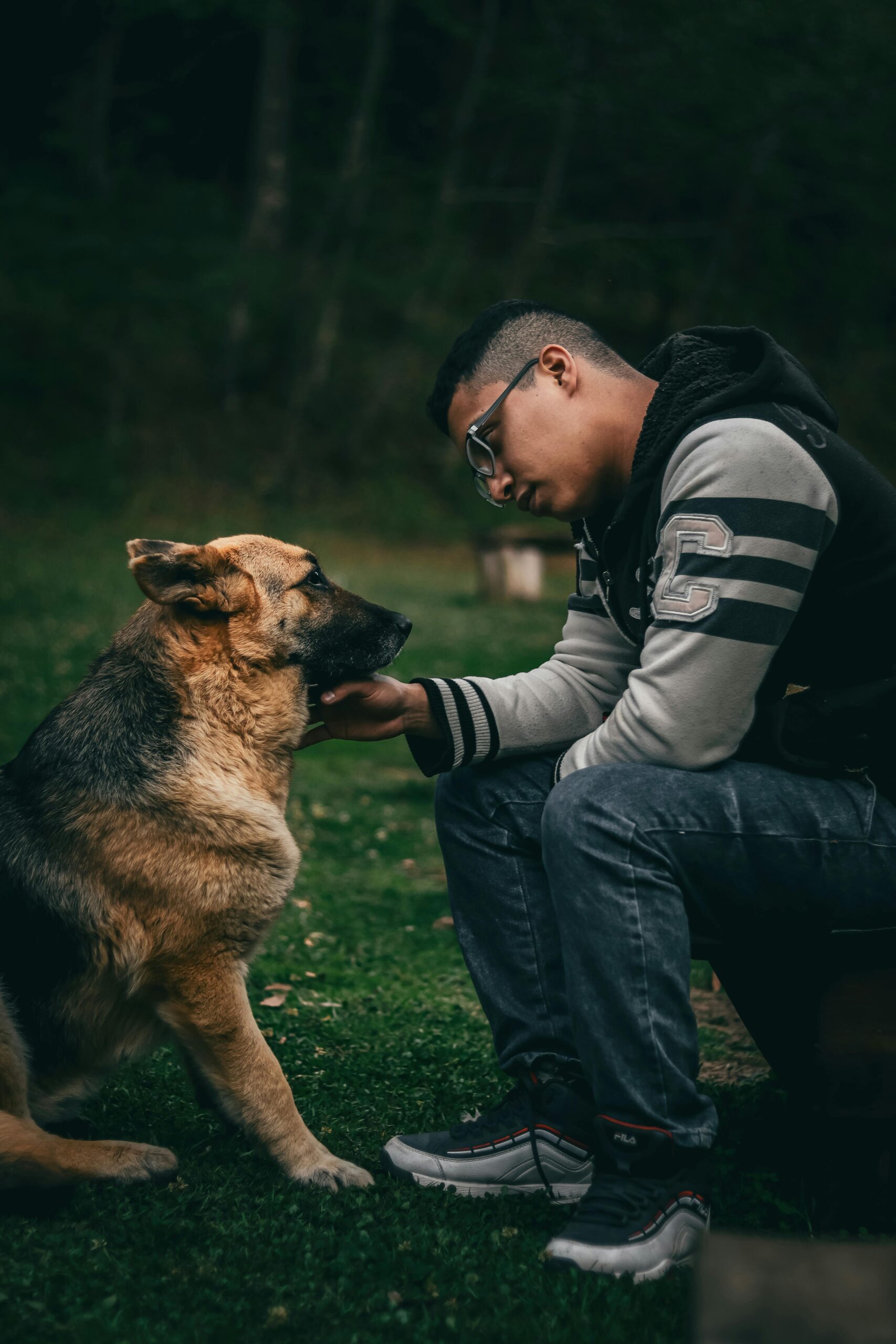 Kinésiologie pour animaux